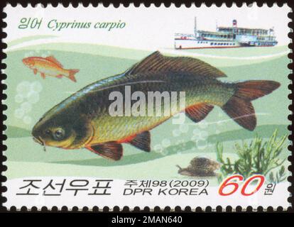 Timbre-poste nord-coréen de 2009 représentant la carpe commune (Cyprinus carpio) avec un navire et une vie aquatique. Banque D'Images
