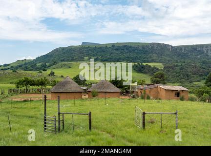 Maisons de boue rondes traditionnelles dans un village de Zulu. Wakkerstroom, Afrique du Sud. Banque D'Images