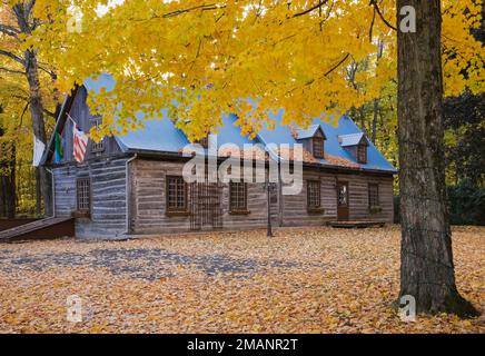 1980 reconstruit 1800s pièces sur pièce façade de maison en rondins avec toit en tôle bleu en automne. Banque D'Images