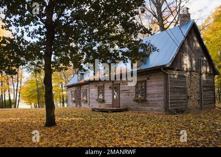 1980 reconstruit 1800s pièces sur pièce façade de maison en rondins avec toit en tôle bleu en automne. Banque D'Images