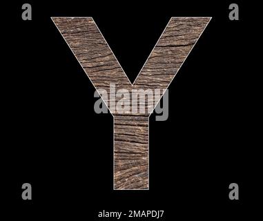 Lettre majuscule y de l'alphabet - texture rustique du cortex de l'arbre Banque D'Images