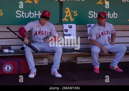 Texas Rangers' Jonah Heim during a baseball game against the Oakland  Athletics in Oakland, Calif., Sunday, May 14, 2023. (AP Photo/Jeff Chiu  Stock Photo - Alamy