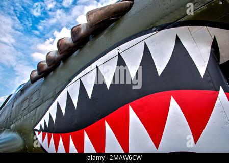 Curtiss TP-40N Warhawk Banque D'Images