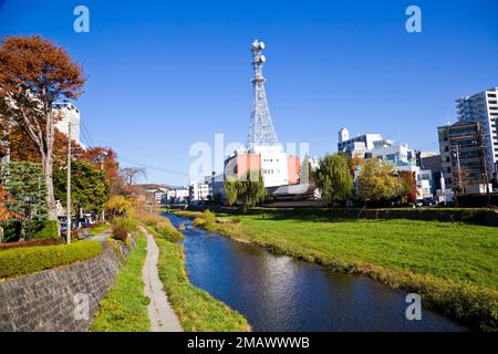 Paysage urbain de Morioka, préfecture d'Iwate, Tohoku, Japon. Banque D'Images