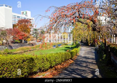 Paysage urbain de Morioka, préfecture d'Iwate, Tohoku, Japon. Banque D'Images