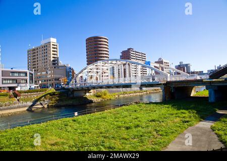 Paysage urbain de Morioka, préfecture d'Iwate, Tohoku, Japon. Banque D'Images