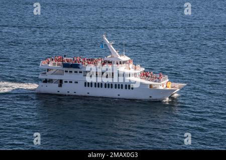 Des bateaux de visite vous emmenez à la découverte des sites célèbres tels que Land's End et Lover's Beach, ainsi qu'à la découverte des baleines à bosse communes pendant les mois d'hiver Banque D'Images