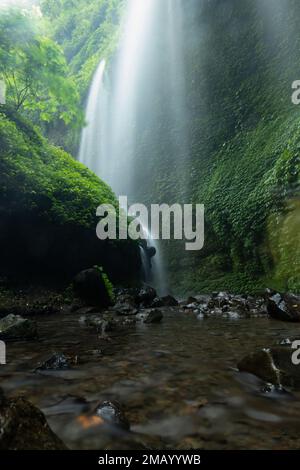 Vue imprenable sur les cascades de Madikaripura. La cascade de Madakaripura est l'une des chutes d'eau les plus spectaculaires de l'est de Java, en Indonésie. Banque D'Images