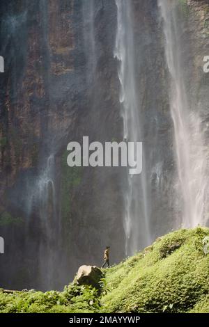 Vue imprenable sur le tourisme ou profiter de la vue de la Sewu Tumpak Cascades. Banque D'Images