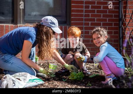 Centre d’approvisionnement de la Défense Nicole Goicochea, chef de la Division de l’environnement de Columbus, et les enfants rient peu après qu’une plante de basilic a été sortie de son contenant pour qu’ils puissent la prendre avant de planter le Centre de développement de l’enfant de Colomb de la DSCC, 8 juin. Sept classes pré-K ont participé à la journée de plantation, mais toutes les classes au centre ont tendance au jardin chaque année. Le jardin est un partenariat conjoint avec la Division de l'environnement de la DSCC et en est à sa sixième saison. Banque D'Images