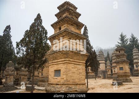 Tombes en brique d'éminents moines dans le cimetière de la forêt de la Pagode au Temple Shaolin. Temple de Shaolin en célèbre pour kungfu et est près de Dengfeng dans le Henan Bauvin Banque D'Images