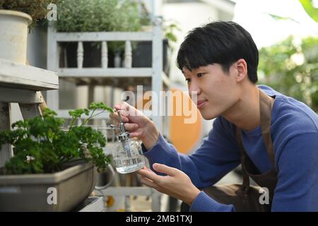Image de l'homme asiatique arrosoir plante dans l'arrière-cour à la journée ensoleillée d'été. Jardinage concept de passe-temps Banque D'Images