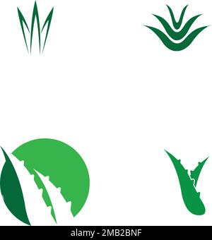 motif illustration du logo aloe vera Illustration de Vecteur