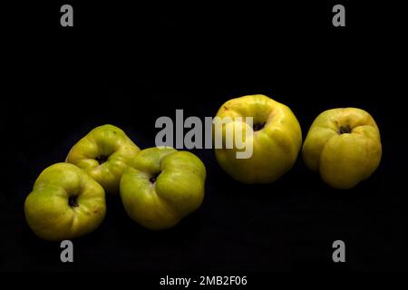 Quinces cultivées organiquement Banque D'Images