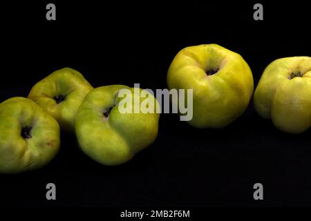 Quinces cultivées organiquement Banque D'Images