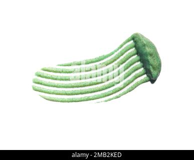 Gommage vert naturel crémeux sur fond blanc isolé. Nuance. Texture liquide à rayures Banque D'Images