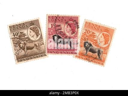 Timbres-poste d'époque du Kenya, de l'Ouganda et de Tanganyika sur fond blanc. Banque D'Images