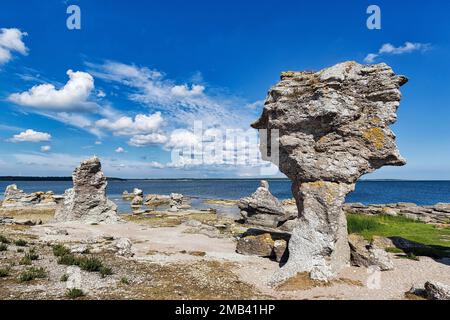 Raukar, étranges colonnes de calcaire, rochers de calcaire de récif sur la côte, érosion, île inhabitée d'Asunden, près de Gotland, Mer Baltique, Suède Banque D'Images