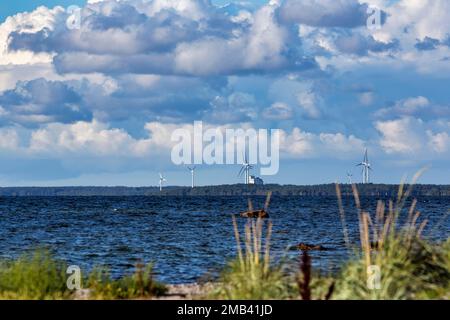 Éoliennes, éoliennes sur la côte, ciel nuageux, côte ouest, île Gotland, Suède Banque D'Images