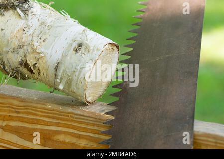 Image symbolique sciage d'un tronc d'arbre - mariage personnalisé Banque D'Images