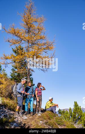 Groupe de randonneurs en automne, sentier de randonnée à Arnspitze, près de Mittenwald, Bavière, Allemagne Banque D'Images