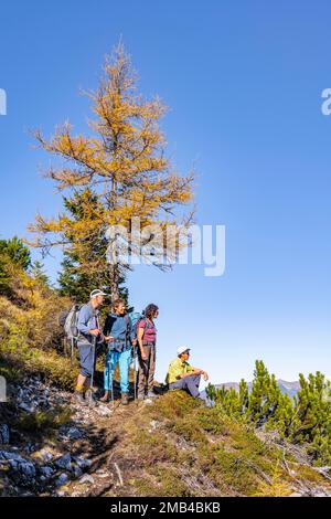 Groupe de randonneurs en automne, sentier de randonnée à Arnspitze, près de Mittenwald, Bavière, Allemagne Banque D'Images