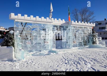 Hiver, sculpture sur glace, Sainte Agathe, province de Québec, Canada Banque D'Images