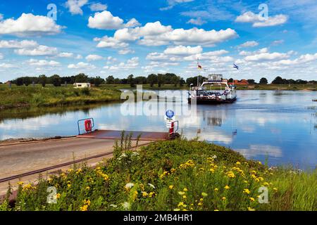 Traversée de l'Elbe en été, Neu Dargau, Luechow-Dannenberg, Elbtalaue, Basse-Saxe, Allemagne Banque D'Images