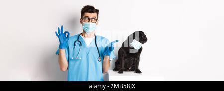 Drôle de chien de pug noir portant un masque médical, assis près de beau vétérinaire médecin montrant le bon signe, fond blanc Banque D'Images