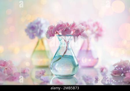 Bouquets de belle hortensia dans des vases en verre coloré sur fond de bokeh. Décoration intérieure. Banque D'Images