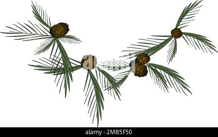 Segment de couronne de Noël en dégradé avec branches et cônes de sapin pour le nouvel an et la carte de vœux de Noël Illustration de Vecteur