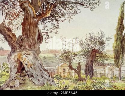 Dans le jardin de Gethsemane. Jour de noonday. Vue vers la vallée de Jehosaphat partie du jardin en premier plan sous les vieux oliviers et cyprès. Stations de la croix le long de la trajectoire à l'intérieur de la paroi limite. Les murs de Jérusalem et le sommet de la mosquée d'Omar en arrière-plan. Time, début d'après-midi du livre « Letters from the Holy Land » d'Elizabeth Butler, publié à Londres par Adam & Charles Black publié pour la première fois en 1903 et réimprimé en 1906 Banque D'Images
