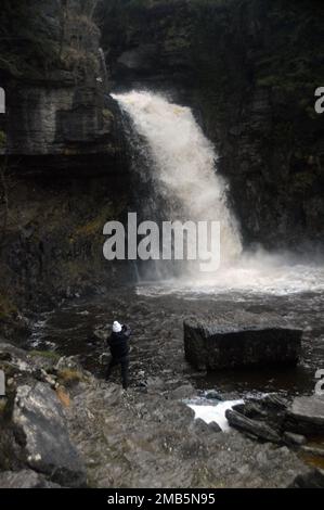 Femme debout/regardant la chute d'eau de Thornton Force dans le Twiss de la rivière sur le sentier des chutes d'eau d'Ingleton, parc national de Yorkshire Dales, Angleterre, Royaume-Uni. Banque D'Images