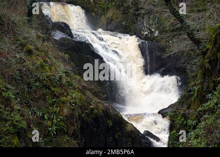 Chutes de neige chutes d'eau dans la rivière Doe sur le sentier des chutes d'eau d'Ingleton, parc national de Yorkshire Dales, Angleterre, Royaume-Uni. Banque D'Images