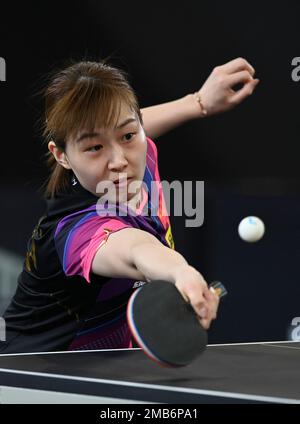 Doha, Qatar. 20th janvier 2023. Liu Weishan, de Chine, est en compétition lors des quarts de finale féminins contre son coéquipier Qian Tianyi au tournoi de tennis de table Doha 2023 du WTT, à Doha, au Qatar, le 20 janvier 2023. Credit: Nikku/Xinhua/Alay Live News Banque D'Images