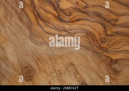 Fond de texture de bois d'olive. Bois vintage. Surface de texture avec motif naturel. Gros plan de la coupe transversale de l'arrière-plan de l'ancienne texture de l'arbre. Banque D'Images