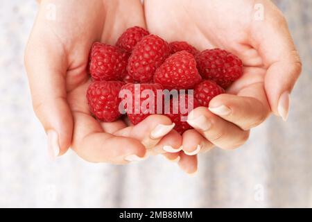 Framboises pour vous...image croppée une main de womans tenant un bouquet de framboises. Banque D'Images