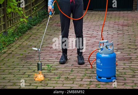 Le brûlage est un moyen de lutter contre les mauvaises herbes dans le jardin ou dans l'allée. Banque D'Images