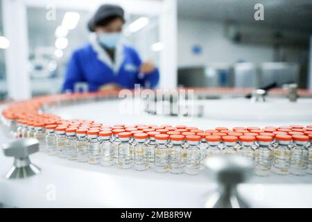 Pékin, Chine. 23rd décembre 2020. Le 23 décembre 2020, un membre du personnel vérifie les étiquettes des flacons de vaccin antiinactivé COVID-19 dans une ligne d'emballage de Sinovac Life Sciences Co., Ltd., à Beijing, capitale de la Chine. Credit: Zhang Yuwei/Xinhua/Alay Live News Banque D'Images