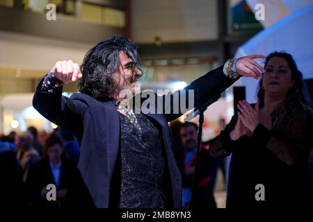 Madrid, Espagne. 20th janvier 2023. FITUR la Foire internationale du tourisme de l'Espagne 2023. Spectacle de flamenco au stand de la Communauté de Madrid. IFEMA, Madrid, Espagne. Crédit: EnriquePSans/Alay Live News Banque D'Images