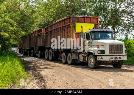 long camion de plusieurs remorques Banque D'Images