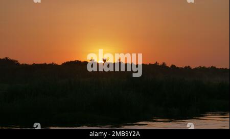 Coucher de soleil sur le Nil près d'Edfou, vue depuis dahabiah en Egypte Banque D'Images