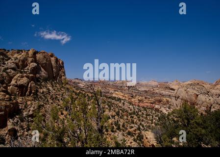 Vue depuis la piste Bear Canyon Rim Trail au parc national de Capitol Reef, Utah, États-Unis Banque D'Images