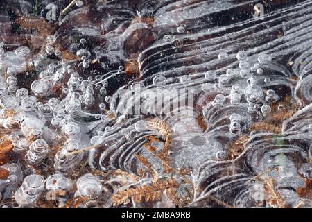 Gros plan des modèles de glace ou des formations de glace pendant le temps glacial dans les bois, en Angleterre, au Royaume-Uni, bulles d'air et ondulations Banque D'Images