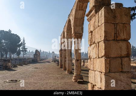 Anjar, la ville d'Umayyad au coeur du Liban Banque D'Images