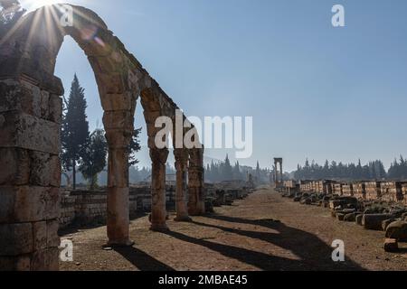 Anjar, la ville d'Umayyad au coeur du Liban Banque D'Images