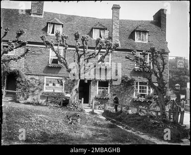 The Crown Inn, Groombridge, Speldhurst, Tunbridge Wells, Kent, 1911. L'avant du Crown Inn vu du sud sur le Green, montrant un chien au premier plan, une femme assise sur un banc à l'extérieur du pub et un homme âgé marchant devant. La photo montre également des arbres pollon devant le pub qui longe le sentier connu sous le nom de promenades. Dans l'indice négatif de la collection, le photographe a mentionné « Old man & amp; MM ». MM peut être une référence à sa sœur Margaret Mary MacFee. Banque D'Images