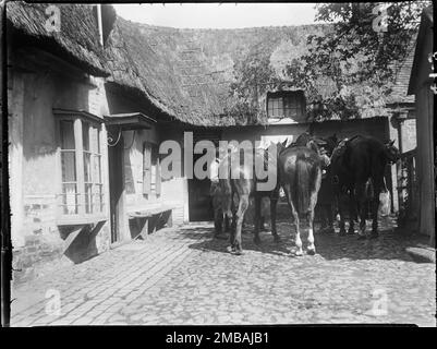 Royal Oak Inn, Wootton Rivers, Wiltshire, 1923. Un groupe de chevaux de soldats debout dans la cour du Royal Oak Inn. Banque D'Images