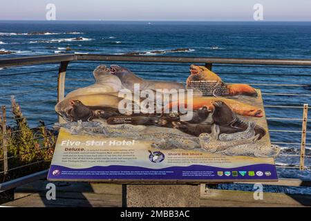 Découverte de la côte rocheuse du parc national de Cape Arago sur la côte de l'Oregon, États-Unis [aucun droit d'auteur d'artiste; licence éditoriale seulement] Banque D'Images