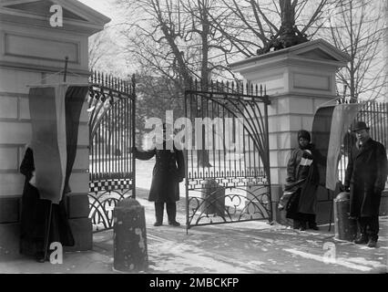 Femme au suffrage, 1917. Banque D'Images